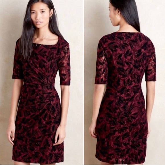 Maeve Dresses & Skirts - Maeve Elorn lace sheath dress